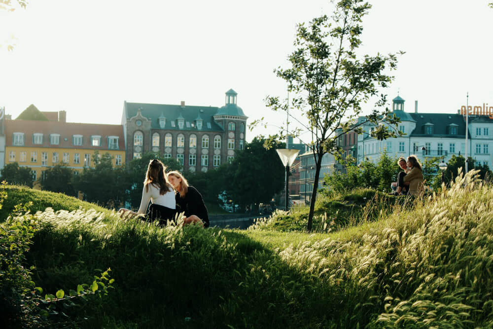 Danmarks mest hundevenlige by er København